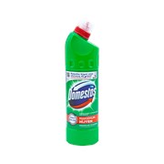 Domestos 750 Ml Dağ Esintisi