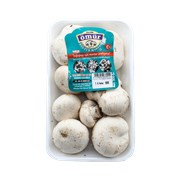 Kültür Mantarı Paket