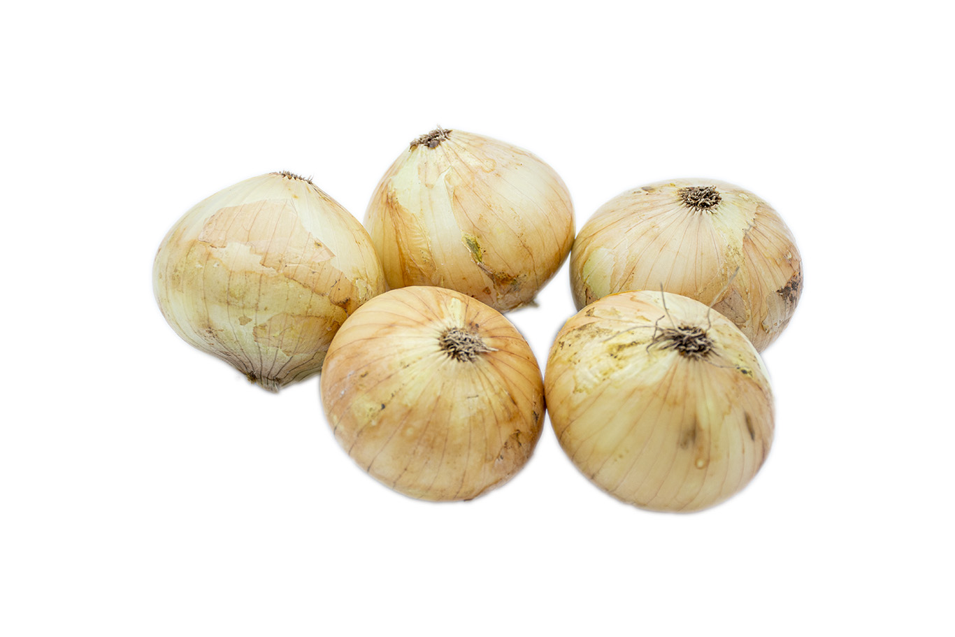 Kuru Soğan